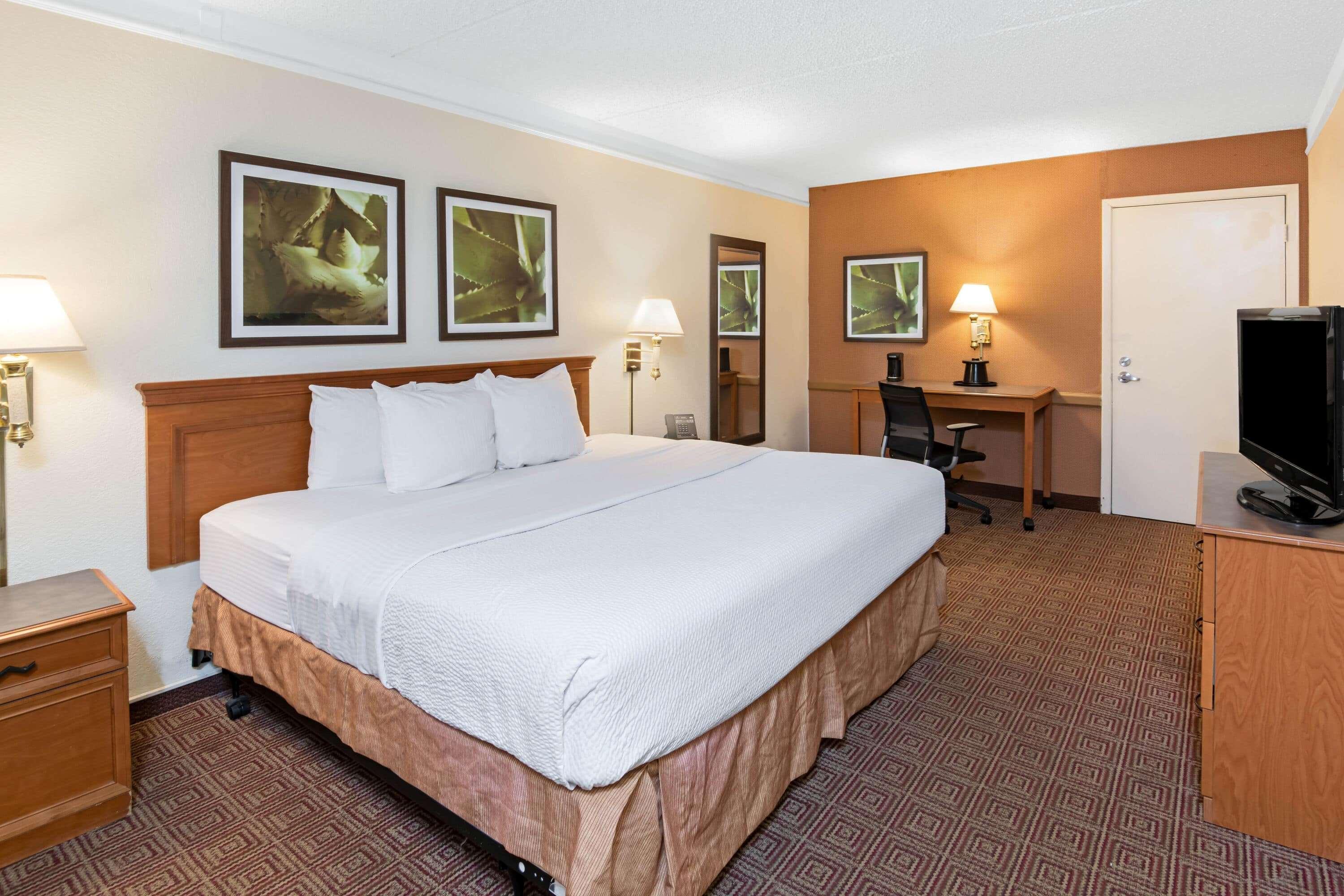 La Quinta Inn By Wyndham San Antonio Lackland מראה חיצוני תמונה