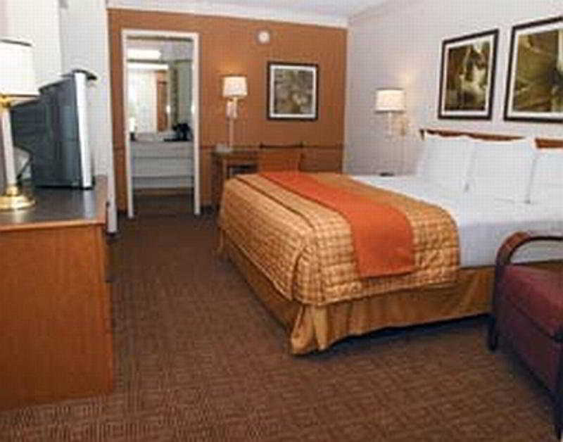 La Quinta Inn By Wyndham San Antonio Lackland מראה חיצוני תמונה